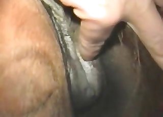 Horse anus looks so tempting